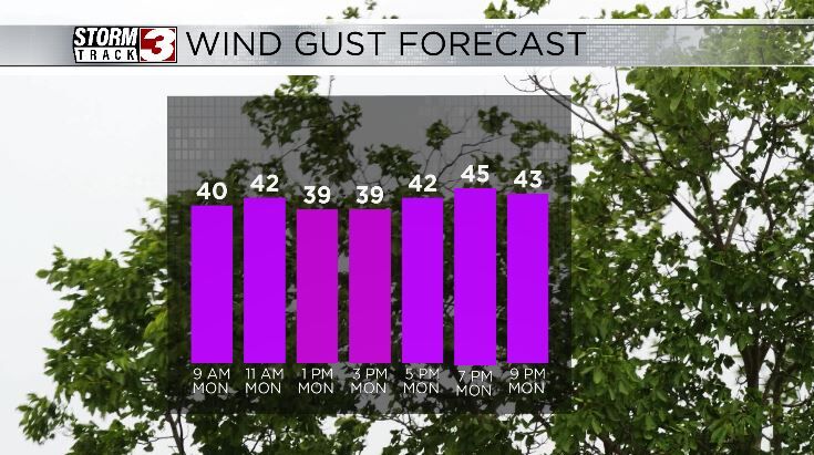 Wind Forecast